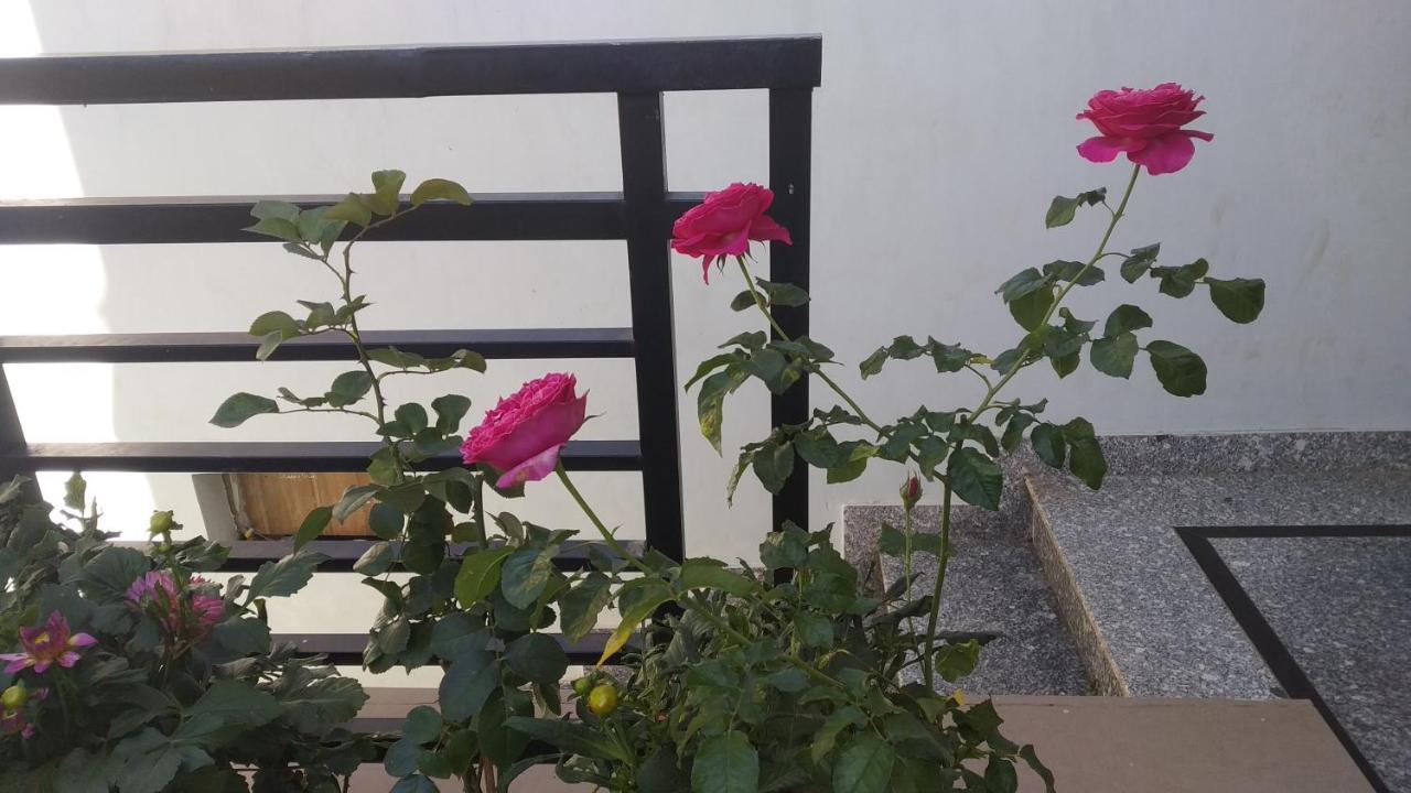 Mai Dalat Homestay Exterior photo